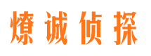 大足侦探